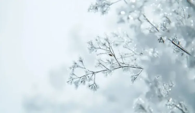 Ауа райы: Тұман түсіп, жел күшейеді