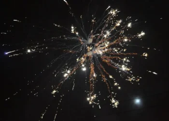 Новогоднее шоу: На трассе Алматы-Хоргос загорелся грузовик с фейерверками