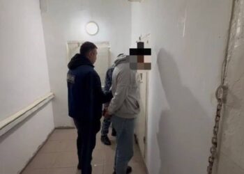 Трое жителей ВКО похитили скот на миллионы