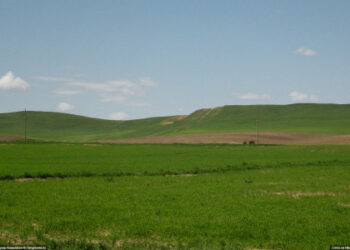 Қонаевта 4064 гектар жер мемлекетке қайтарылды