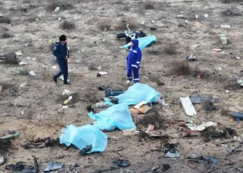 Ұшақ апатынан аман қалғандар саны 29-ға жетті