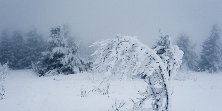 Метель и туман: прогноз погоды на 17 декабря