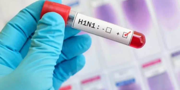 Солтүстік Қазақстанда екі адам шошқа тұмауын жұқтырды