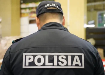 Алматы облысының полицейлері ірі көлемде алаяқтық қылмыстарды әшкереледі