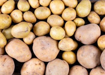 В Казахстане картофель в среднем стоит 320 тенге, но в Астане дороже