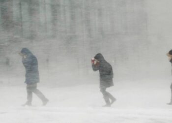 Жамбыл облысында 18 ауылда жарық сөніп, мыңнан аса көлік жолда қалды