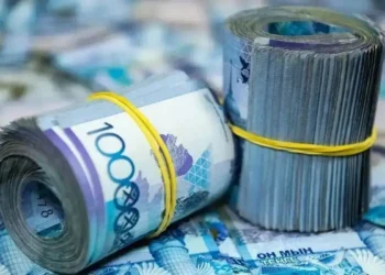 Салық қарызы бар қазақстандықтардың шоты бұғатталмауы мүмкін