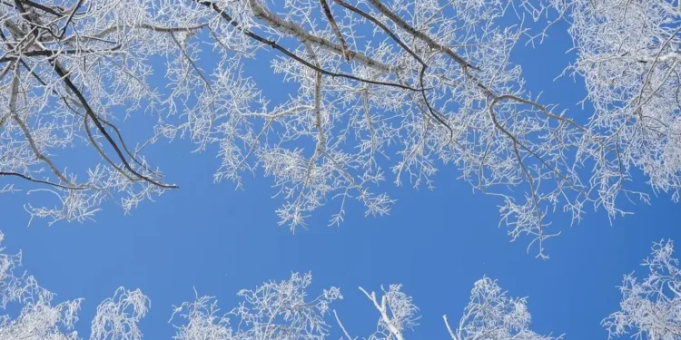 Қазақстанда 40 градус аяз болады – Қазгидромет