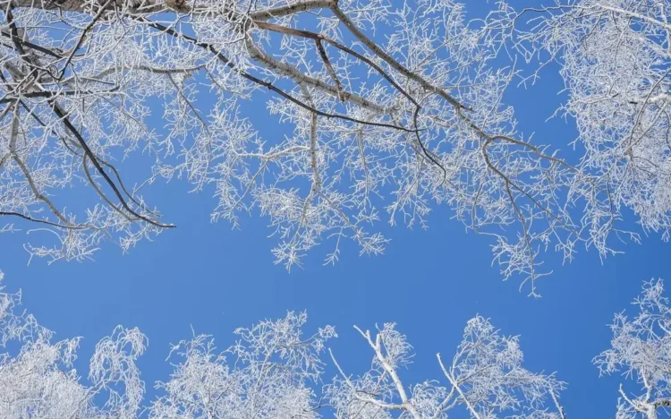 Қазақстанда 40 градус аяз болады – Қазгидромет