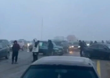 Массовое ДТП произошло на трассе в Алматинской области