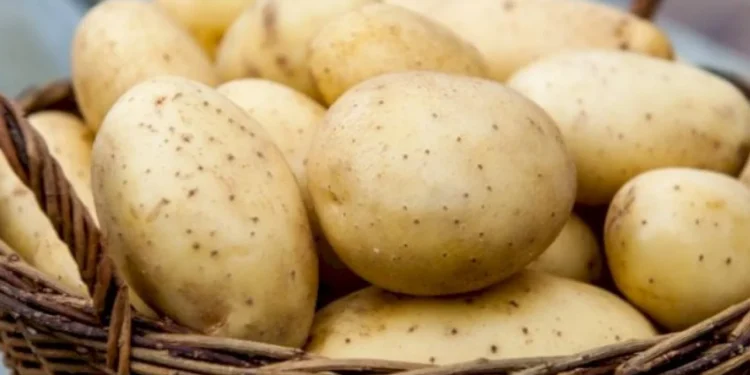 Астанада бір адамға 5 келіден артық картоп сатылмайтын болды