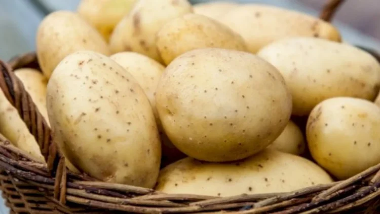 Астанада бір адамға 5 келіден артық картоп сатылмайтын болды