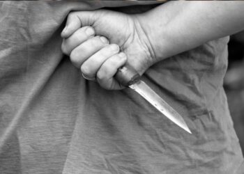 Мужчина убил мать и пытался оспорить приговор