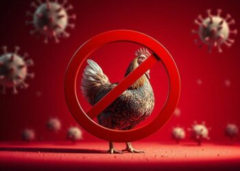 Россельхознадзор обнаружил опасные бактерии в курице из Казахстана