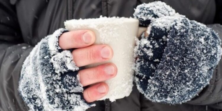 Петропавлда жыл басынан бері 10 адамды үсік шалды