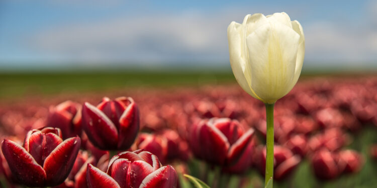 В Астане 36 тысяч женщин получат соцвыплату к 8 марта