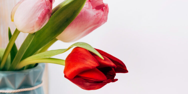 Как казахстанцы будут отдыхать в марте: праздничные выходные