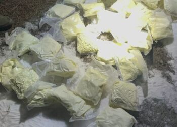 В Алматинской области изъято более 24 кг мефедрона