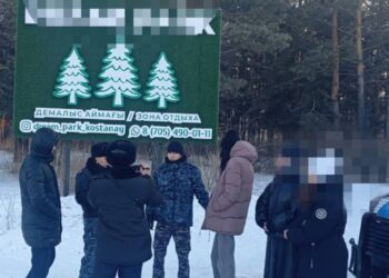 Наркотики в лесу: задержана женщина, подозреваемая в незаконном обороте наркотиков