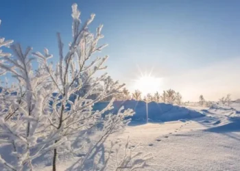Алматыда 25 градус аязды күндер келе жатыр
