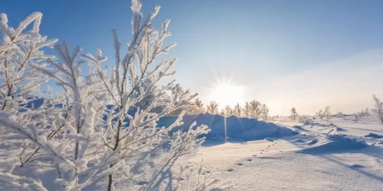 Алматыда 25 градус аязды күндер келе жатыр