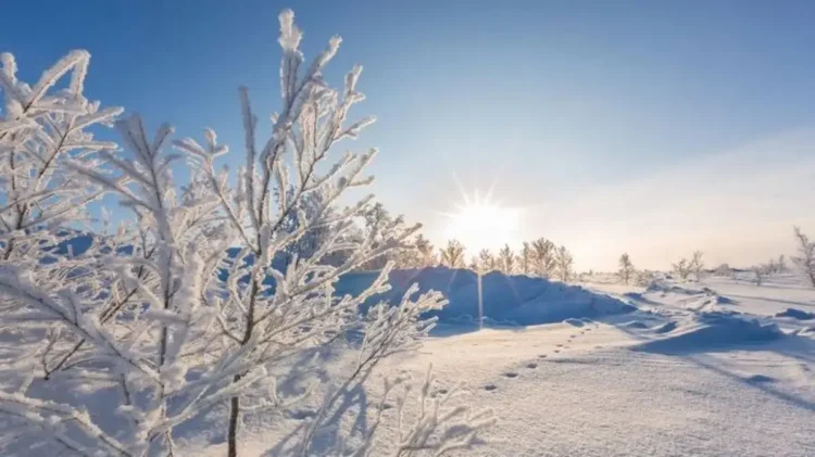 Алматыда 25 градус аязды күндер келе жатыр