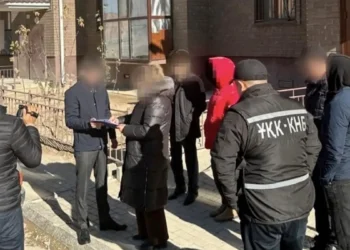 Қызылорда облысында шетелдіктерді елге заңсыз тартқан күдікті топ ұсталды