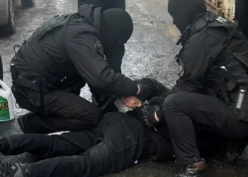 Алматы облысында бір айда жүздеген бас мал ұрлаған қылмыстық топ ұсталды