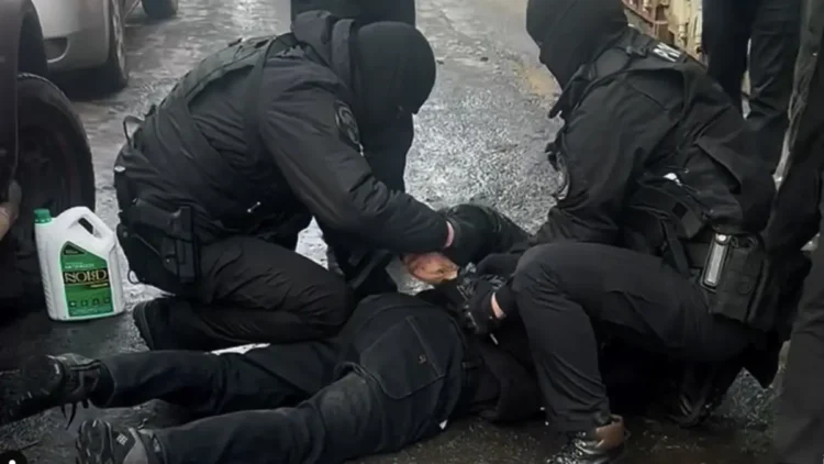 Алматы облысында бір айда жүздеген бас мал ұрлаған қылмыстық топ ұсталды