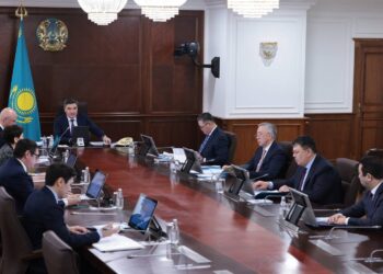 Акиматы должны следить за правильным расходованием средств на сельское хозяйство — Бектенов