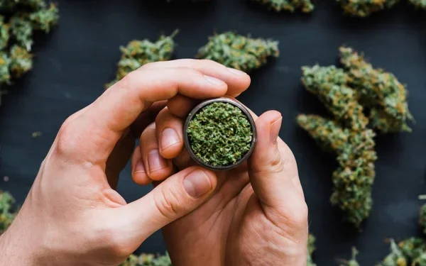 Акмолинца подозревают в организации фитолаборатории для выращивания наркотиков