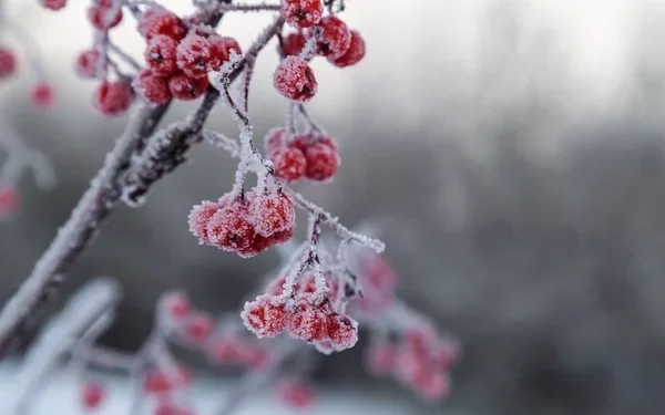 В Казахстане ожидается понижение температуры: на большей части страны морозы до -35°C