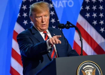 Война в Украине должна закончиться в этом году: Дональд Трамп обсудил ситуацию с Зеленским