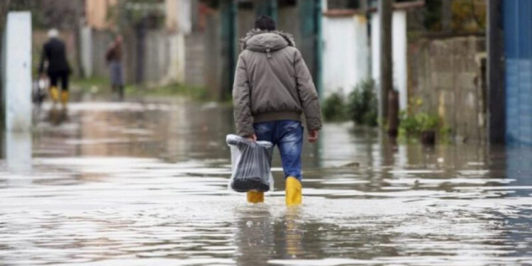 Павлодарда 52 ауылды су басуы мүмкін