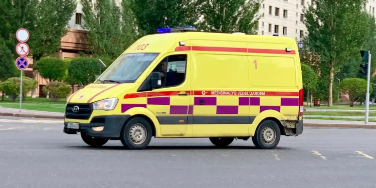 12 жастағы баланың үстіне қораның қабырғасы құлап, мерт болды