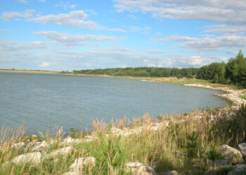 Государству вернули уникальное озеро «Теке» стоимостью 26,7 миллиардов тенге