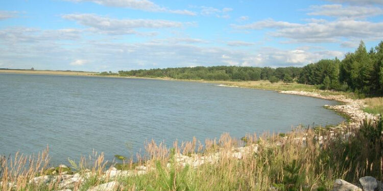 Государству вернули уникальное озеро «Теке» стоимостью 26,7 миллиардов тенге