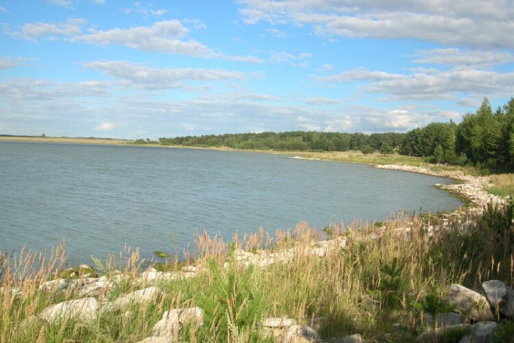 Государству вернули уникальное озеро «Теке» стоимостью 26,7 миллиардов тенге