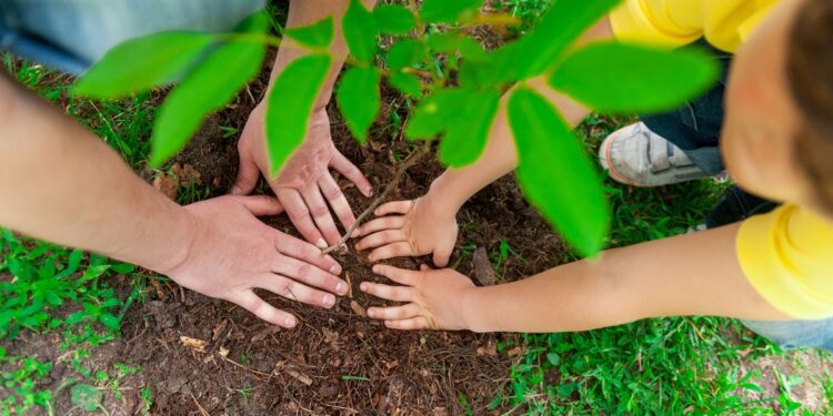 Бүгін –  Жаңару күні