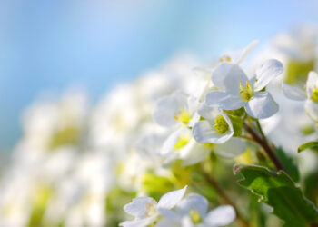 Прогноз погоды в Казахстане на три дня: тепло, но с осадками и ветром