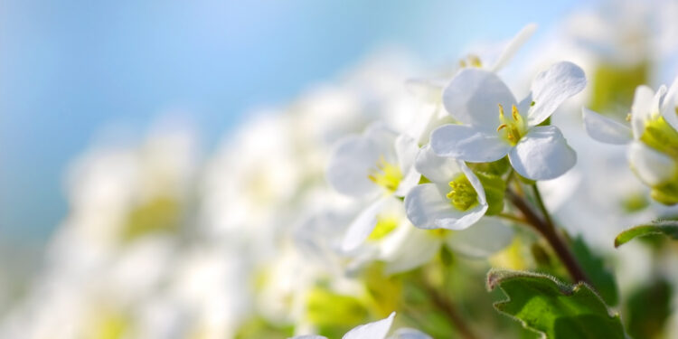 Прогноз погоды в Казахстане на три дня: тепло, но с осадками и ветром