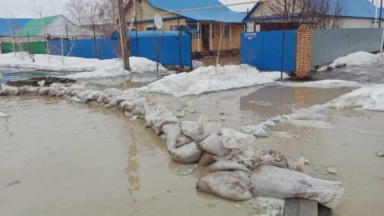 В Жамбылском районе оперативно устранен прорыв укрепления полей фильтрации