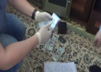 «Жетісу» футбол клубының директоры сотталды