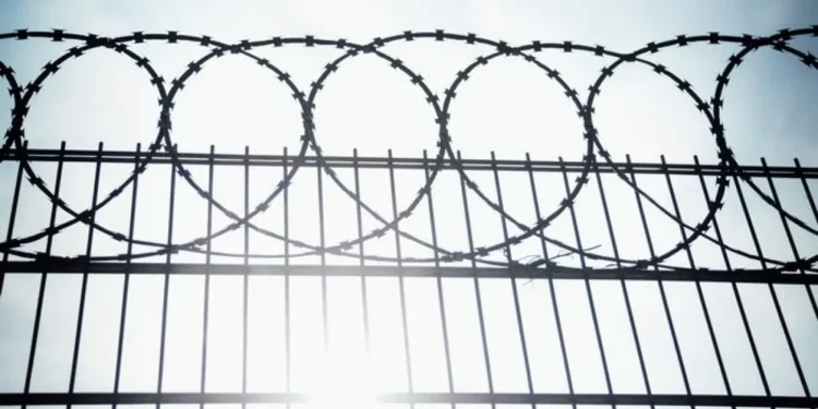 1200 тұтқын мерзімінен бұрын босатылуы мүмкін — ІІМ