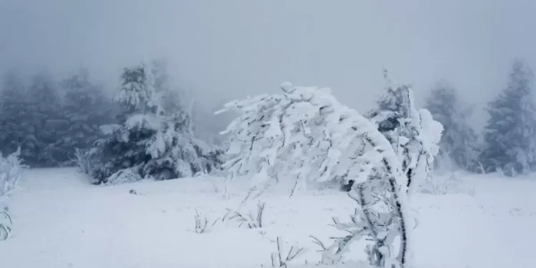 Ауа райы: Кей өңірде -22°с дейін аяз болады