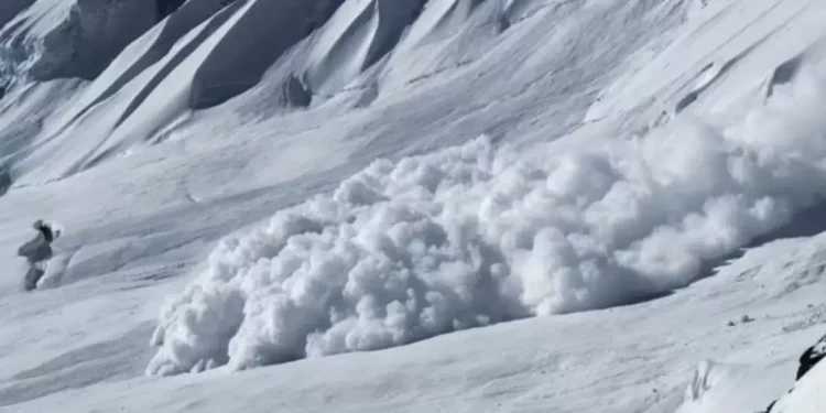 Алматыда қар көшкіні болды: Бір адам қаза тапты