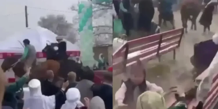 Жамбыл облысында асау ат мерекеге жиналған жұртты таптап кетті