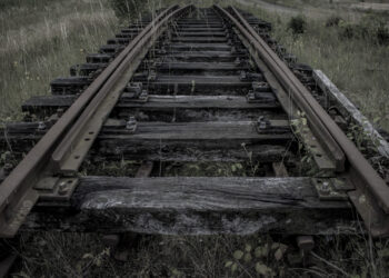 В Алматинской области нашли обезглавленное тело: комментарий ДП