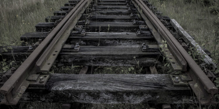 В Алматинской области нашли обезглавленное тело: комментарий ДП