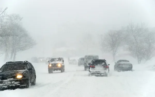 Более 20 человек застряли в снежном заносе в Жамбылской области